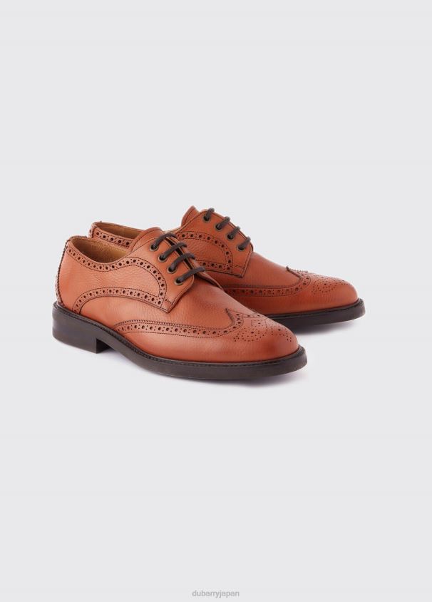 Dubarry 男性 デリーグッドイヤーのブローグシューズ D266TR902 履物 黄褐色